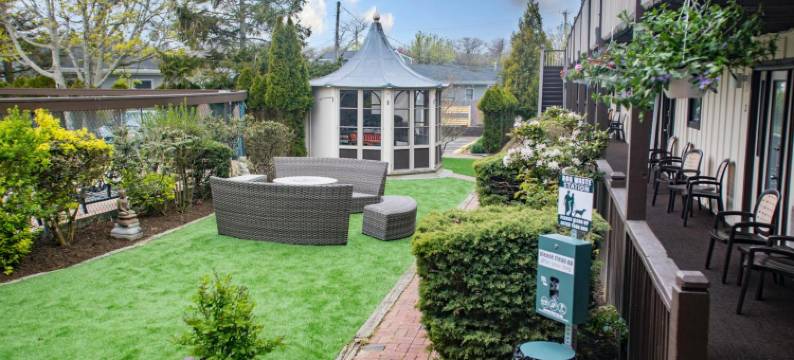 肯尼蒂珀雷酒店(Kenny's Tipperary Inn)图片