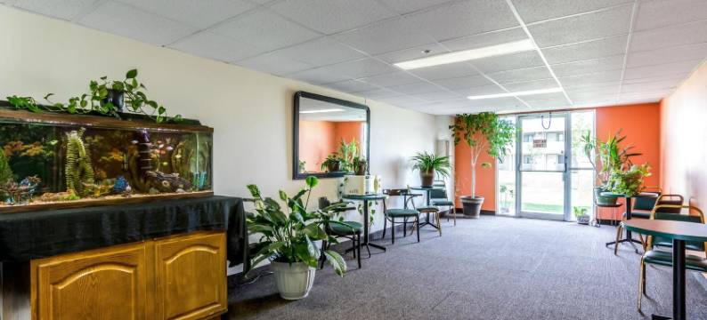 内布拉斯加约克 6 号汽车旅馆(Motel 6 York, NE)图片