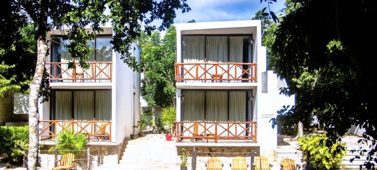 图兰龟屋酒店-塞诺特公园全包(Hotel Casa Tortuga Tulum - Cenotes Park Inclusive)图片