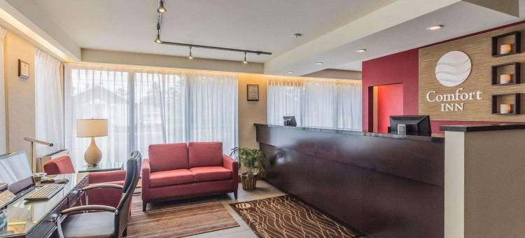 舒适酒店(Comfort Inn)图片