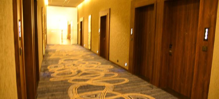 坎努尔JP机场酒店(JP Airport Hotel Kannur)图片