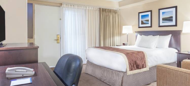 红鹿温德姆呗盟酒店(Baymont by Wyndham Red Deer)图片