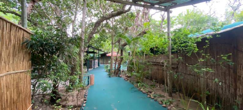 水下探险家酒店(Underwater Explorer)图片