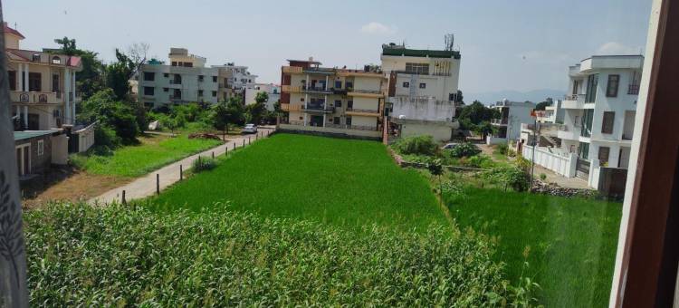 古鲁苏尔比酒店(Hotel Guru Surbhi)图片