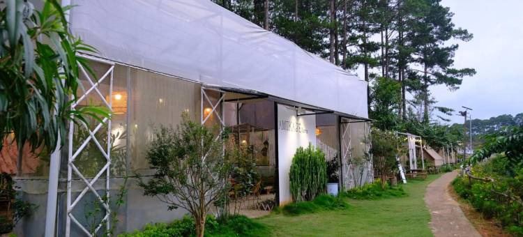 阿米卡杰农场(Amikaje Farm)图片