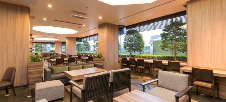 成田爱迪星大酒店(The Hedistar Hotel Narita)图片