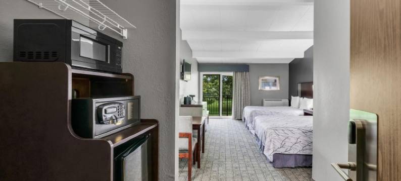 东湖套房(Eastlake Suites Hotel & Conference Center by OYO Urbana)图片