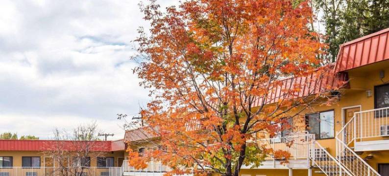 内华达议会大厦罗德威酒店(Rodeway Inn at Nevada State Capitol)图片