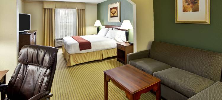Holiday Inn Express BREAUX桥/恒基(Holiday Inn Express Breaux Bridge/Henderson)图片