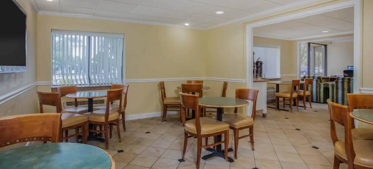 坦帕展览会场 拉昆塔温德姆套房酒店(La Quinta Inn & Suites by Wyndham Tampa Fairgrounds - Casino)图片