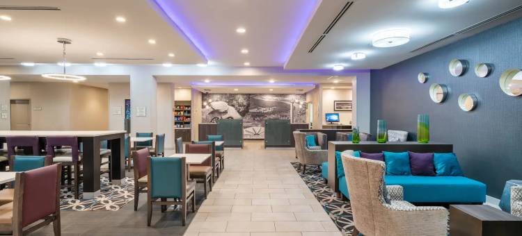 查塔努加瞭望山拉昆塔温德姆套房酒店(La Quinta Inn & Suites by Wyndham Chattanooga - Lookout Mtn)图片