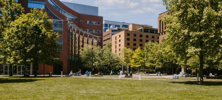 海德松德尔(Sonder the Heid)图片