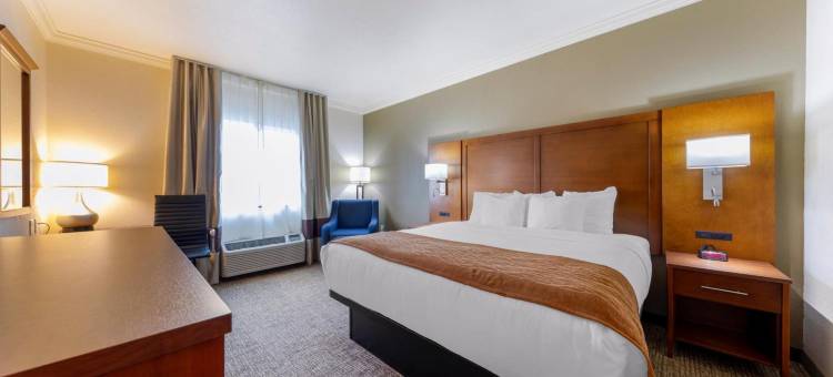 舒适酒店(Comfort Inn Near University)图片