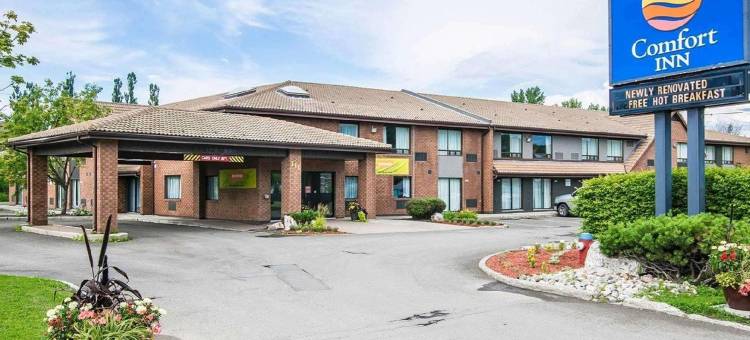 舒适酒店(Comfort Inn)图片