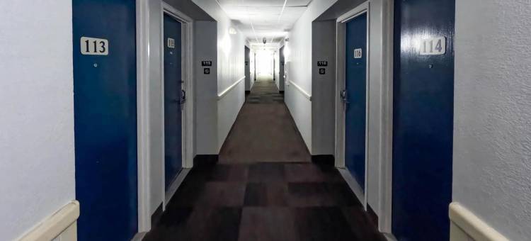 德克萨斯布朗斯维尔 6 号汽车旅馆(Motel 6 Brownsville, TX)图片