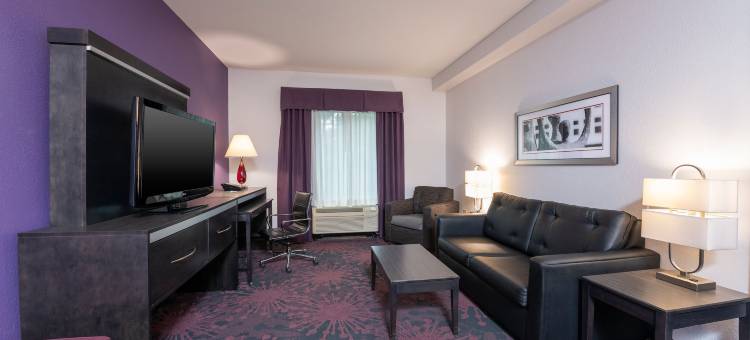 智选假日套房酒店哥伦布 - 北极星大路(Holiday Inn Express & Suites COLUMBUS - POLARIS PARKWAY by IHG)图片