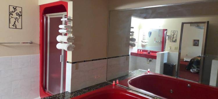 切萨宁套房酒店(Chesaning INN & Suites)图片