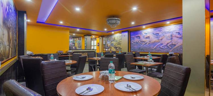 绿色风景宫殿酒店(Treebo Green View, Noida)图片