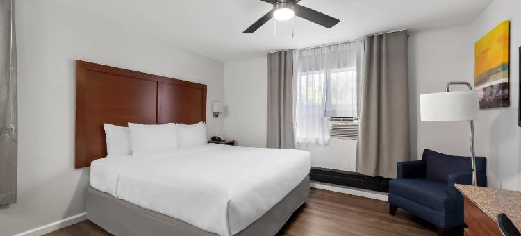 盖斯兰姆普会议中心舒适酒店(Comfort Inn Gaslamp Convention Center)图片