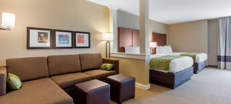 克罗斯普雷克斯乡村舒适套房酒店(Comfort Inn & Suites at CrossPlex Village)图片