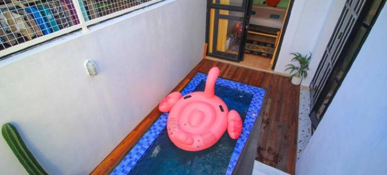 罗玛仁加纳绿洲(Roemah Renjana Oasis)图片