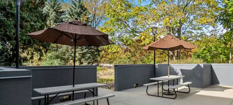 Spark by Hilton Stevensville图片