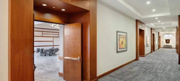 达拉斯-沃斯堡国际机场凯悦丽景湾酒店(Hyatt Regency DFW International Airport)图片