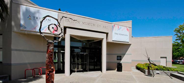 圣何塞圣克拉拉TownePlace Suites 酒店(TownePlace Suites San Jose Santa Clara)图片