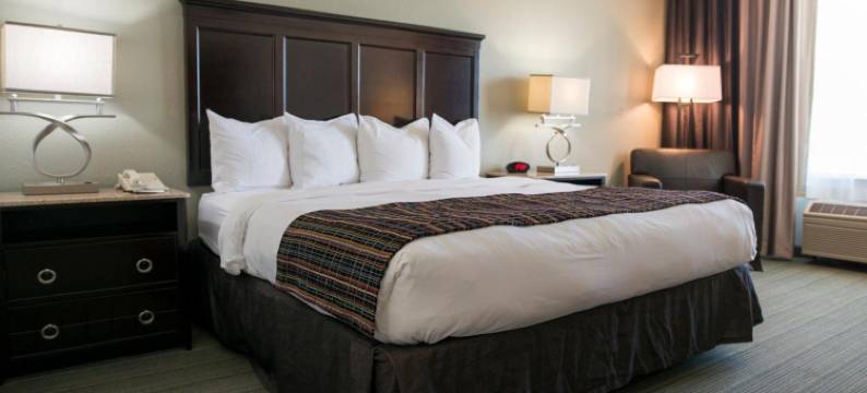 埃芬汉姆丽怡酒店(Country Inn & Suites by Radisson, Effingham, IL)图片