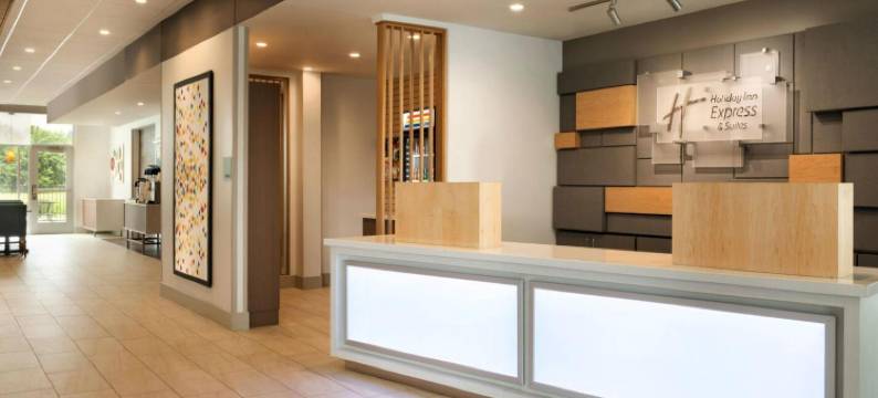 奥本希尔斯南洲际智选假日套房酒店(Holiday Inn Express & Suites AUBURN HILLS SOUTH by IHG)图片