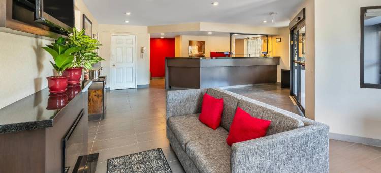 舒适酒店(Comfort Inn)图片