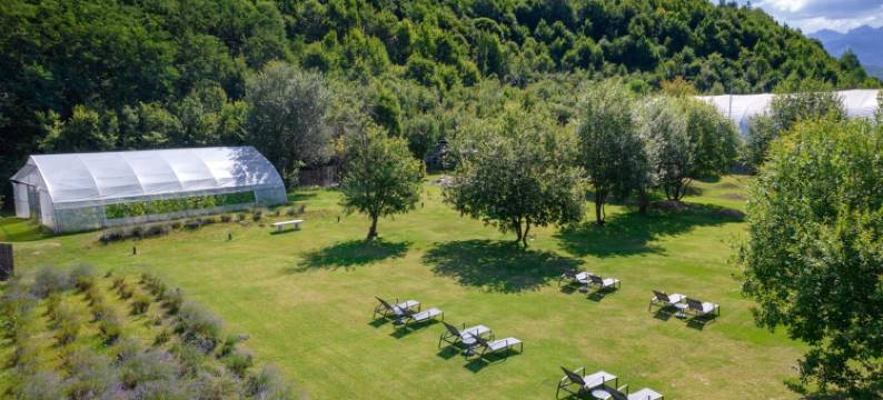 Pensiunea Negoiu图片