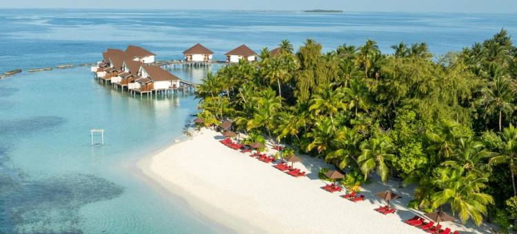 马尔代夫Ellaidhoo岛-由Cinnamon运营(Ellaidhoo Maldives by Cinnamon)图片