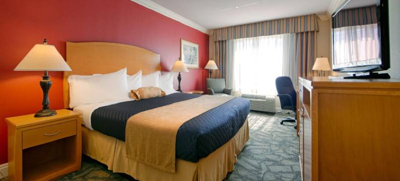 Best Western Plus - Anaheim Orange County Hotel图片