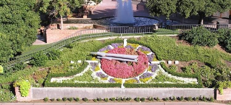 莫德斯托万豪SpringHill酒店(SpringHill Suites Modesto)图片