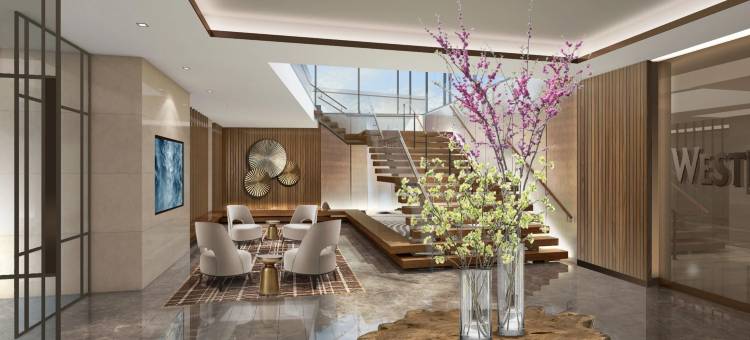 威斯汀法拉盛拉瓜迪亚机场酒店(The Westin Flushing LaGuardia Airport)图片