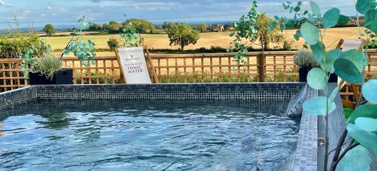 达勒姆奥克斯酒店(The Durham Ox)图片