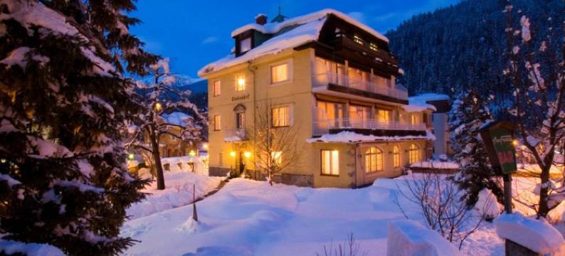 林登霍夫精品酒店(Hotel Lindenhof)图片