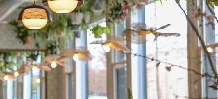 阿提库斯酒店(Atticus Hotel)图片