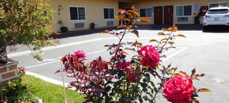 钻石客栈(Diamond Inn)图片