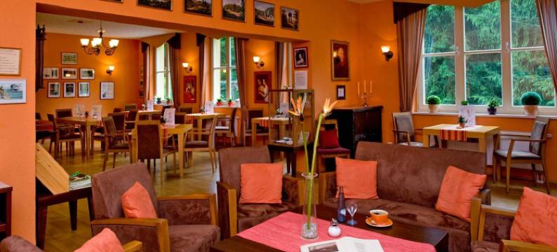 哈比斯坦恩哈尔茨酒店(Hotel Habichtstein)图片