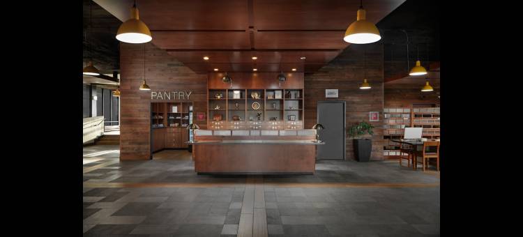 维吉尼亚海滩海滨福朋喜来登酒店(Four Points by Sheraton Virginia Beach Oceanfront)图片