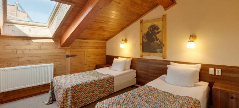 爱丽莎波波维奇德沃尔酒店(Alesha Popovich Dvor)图片