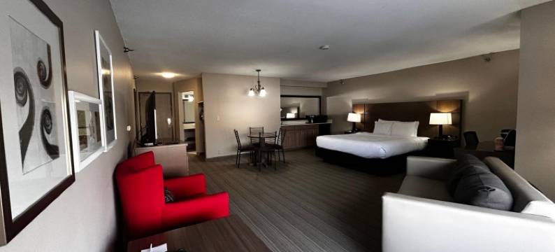 巴克斯特丽怡酒店(Country Inn & Suites by Radisson, Baxter, MN)图片