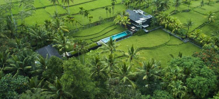 Uma Giri Villas Ubud by GenuineHost图片