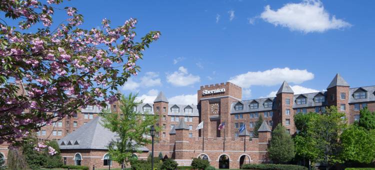 帕西帕尼喜来登酒店(Sheraton Parsippany Hotel)图片