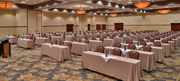 史蒂文斯角假日酒店 - 会议中心(Holiday Inn Stevens Point - Convention Ctr)图片