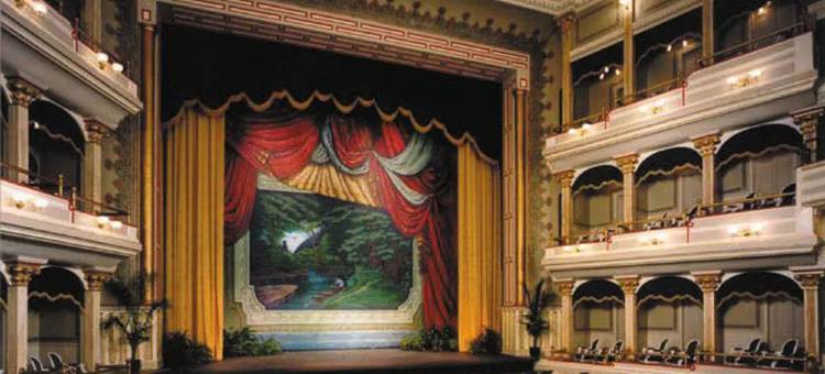 SpringHill Suites Columbus图片