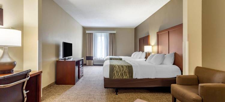 舒适套房酒店(Comfort Inn & Suites)图片