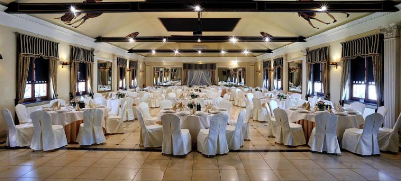 希隆斯克地区谢米亚诺维采瓦坎扎钻石酒店(Hotel Diament Vacanza Katowice - Siemianowice)图片